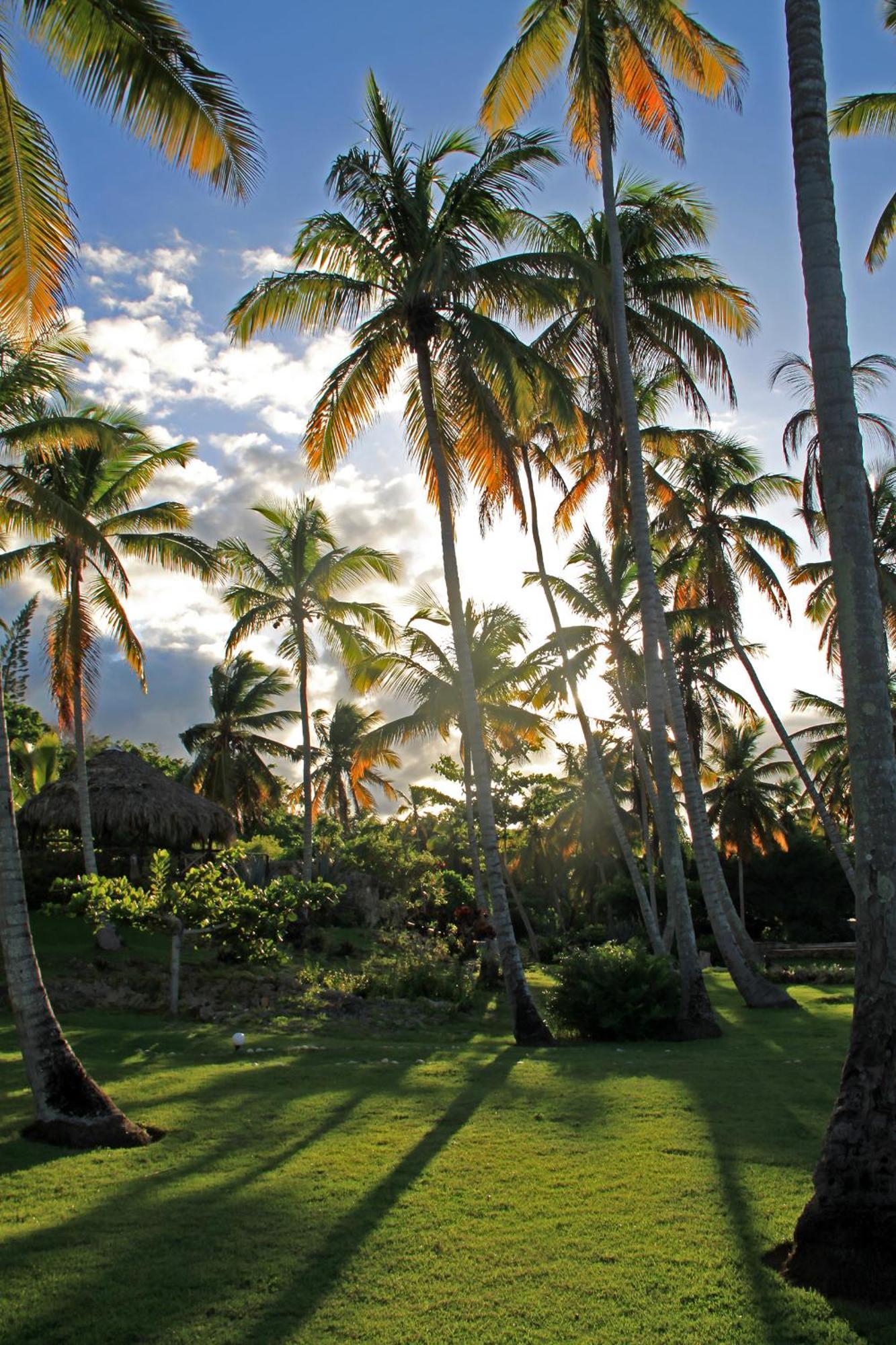 Hotel Todoblanco, Las Galeras, Samana Exterior foto